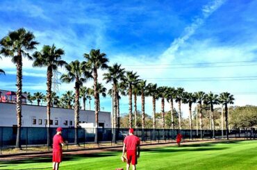 Le 1er décembre n’est pas trop tôt pour rêver de palmiers et de baseball, n’est-ce pas? #Spr ...