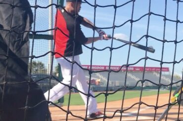 Désolé, les balles de baseball… @ Giancarlo818 est arrivé à #SpringTraining ....
