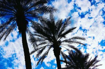 #SpringTraining, c’est tout!! ...