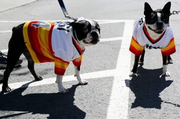 #BaseballDogs au @baseballhall. #HOFWKND ...