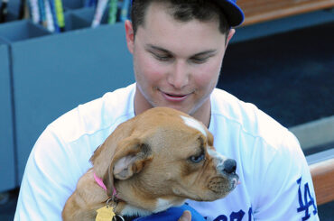 #NewYearsResolution: Animaux plus #BaseballDogs.

Faites glisser pour plus de bons doggos ....
