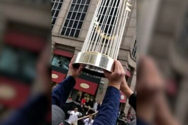Les trophées World Series et les canards. Ils sont juste attirés l'un vers l'autre. cré ...