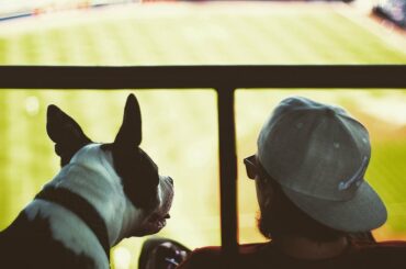 #Nationalpuppyday
#Entraînement de printemps...
