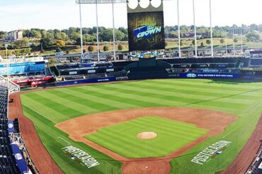Le calme avant la tempête AL #WildCard ....