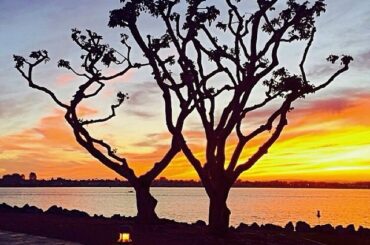 Le soleil se couche le premier jour de la #WinterMeetings ....