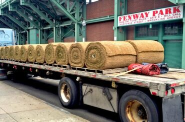 L'herbe est toujours plus verte quand #OpeningDay est au coin de la rue ....