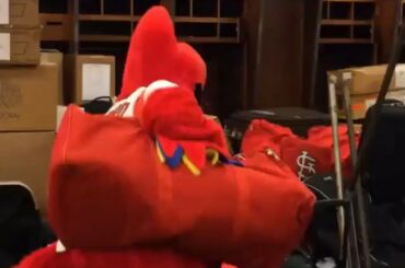 Via @cardinals: Nous n'engageons que les meilleurs déménageurs pour #TruckDay. #SpringTraining #STL ...