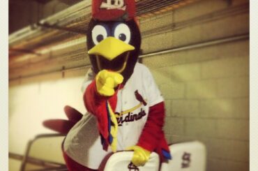Fredbird est prêt. Es-tu? #NLCS # Game5 ...