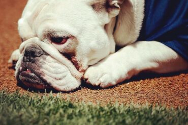 Mauvais cas du lundi? Ne vous inquiétez pas, le baseball n’est qu’à trois heures. # ...