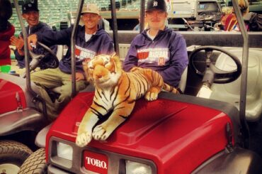 Chariot de tigre. #ALCS ...