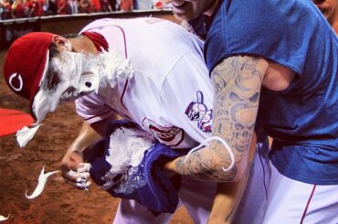 Jeter un non-non, avoir de la tarte. #reds #dominono ...