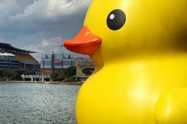 Le projet de canards en caoutchouc en dehors du parc PNC. #WildCard ...