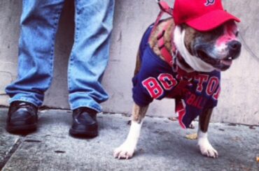 Beaucoup de fans enthousiastes pour le #ALCS ....
