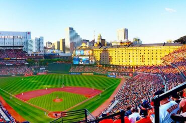 Vous cherchez bien, #Birdland ....