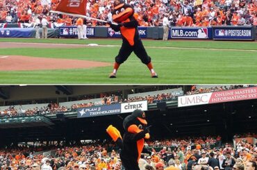 L’Oriole Bird est POMPÉ pour le jeu 2 de #ALDS. Il commence maintenant sur TBS. #Postaison ...