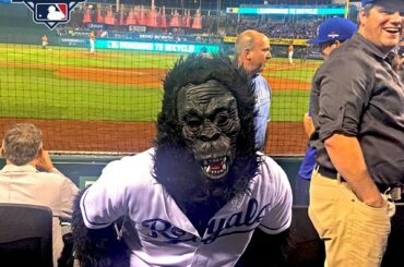 @KCRoyals ne fait pas de singe. #OwnOctobre ...