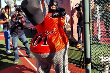 Héros! #SFBatkid sauve la mascotte de @SFGiants, Lou Seal, au parc AT & T (via @SFWish sur Twi ...