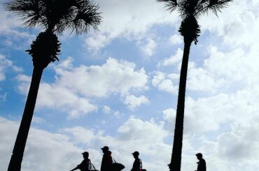 Nous sommes en février Vous savez ce que cela signifie ... #SpringTraining ...