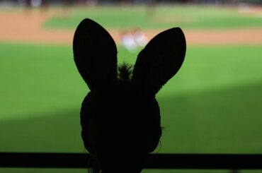 Joyeuses Pâques! Juste une semaine avant #OpeningDay! ...