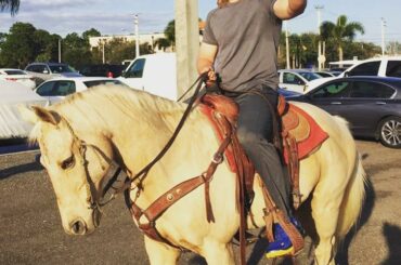 Jamais su que Thor avait un cheval. #mets ...
