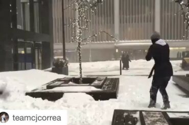 La neige ne peut pas arrêter le baseball #nyc #blizzard ...