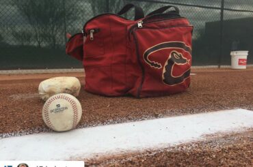 Pas un méchant à avoir à #SpringTraining. (via @ rj51photos) ...