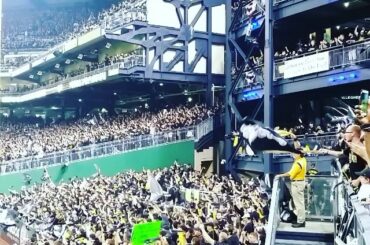 PNC Park est bruyant. #WildCard ...