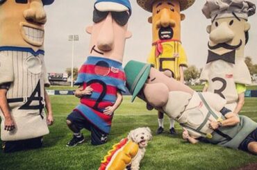 Hank the #BallparkPup, nouveau membre des @brewers Racing Sausages ....