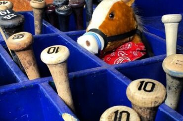 #Repost de @raysbaseball: Il a trouvé une écurie ....