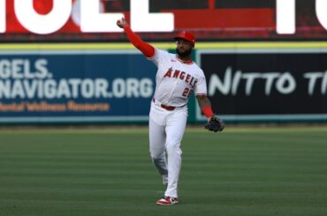 Les pirates réclament Niko Goodrum aux anges
