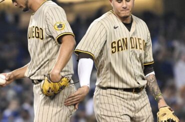 Lequel préférez-vous San Diego Brown ou le bleu ?