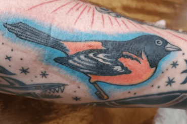 Voyons voir ces tatouages ​​MLB !
