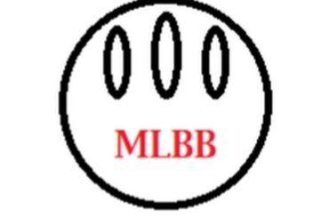 Salut à tous, j'ai une chaîne YouTube de baseball à laquelle vous devriez vous abonner