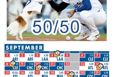 Si vous voulez assister à ce match de baseball de 250 000 $, achetez vos billets pour les Rockies