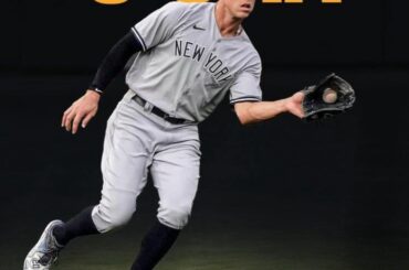 Pourquoi les pages de baseball publient-elles des statistiques comme celle-ci ? Je comprends que les fans des Yankees sont ennuyeux, mais si l'OPS+ d'un mec est de DEUX VINGT TROIS, il pourrait légitimement se tenir là et s'essuyer le cul et cueillir des pissenlits dans le champ extérieur toute la journée en ignorant les balles touchées et il vaudrait toujours 10 fois plus. une équipe comme prochain gars.