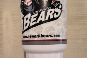 Article aléatoire de ma collection de baseball (jour 89 hors saison) Semaine de la Coupe souvenir : Newark Bears