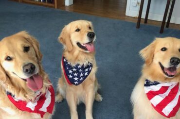 Pipeline MLB AMA ! Les rédacteurs de MLB.com Jim Callis, Jonathan Mayo et Sam Dykstra sont là pour répondre à vos questions sur les prospects à 14 h 30 HE.