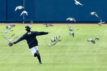🇯🇵C'est la scène au Maishima Buffaloes Stadium, domicile de l'équipe agricole NPB Orix. Le lanceur Raiku Katayama jouait avec des pigeons.