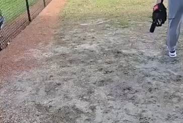 Moment cool entre le manager du Venezuela Omar López et le manager des Mets Carlos Mendoza.