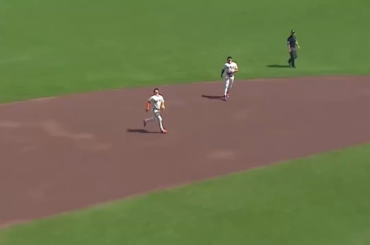 (Surligner) Matt Chapman et Willy Adames : Baseball synchronisé