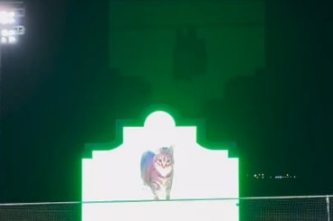 ​Le divertissement le plus normal sur le tableau de bord des ligues mineures.