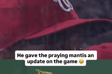 J'adore que cette vieille image de Victor Robles soit tombée sur mon flux